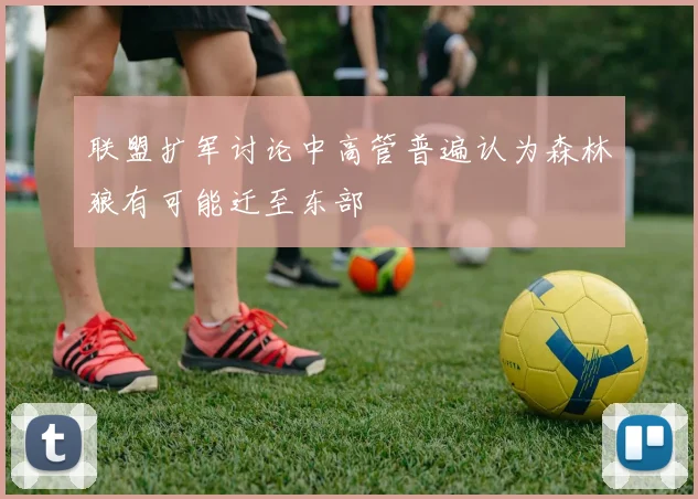 联盟扩军讨论中高管普遍认为森林狼有可能迁至东部